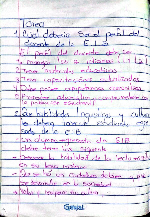 Evidencia de LESLY NINOSKA  Leymans Bismarck
