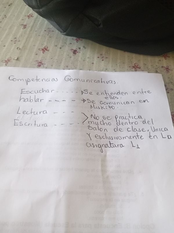 Evidencia de DIGNA ALBERTA ARRIOLA CASTILLO